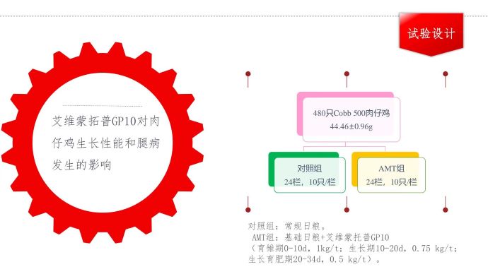 ��ϵ����